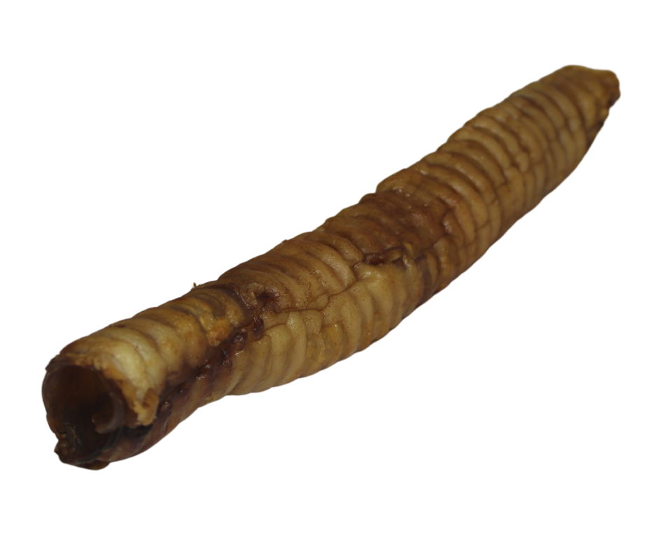 Pipes (for dogs) Clint & Sons